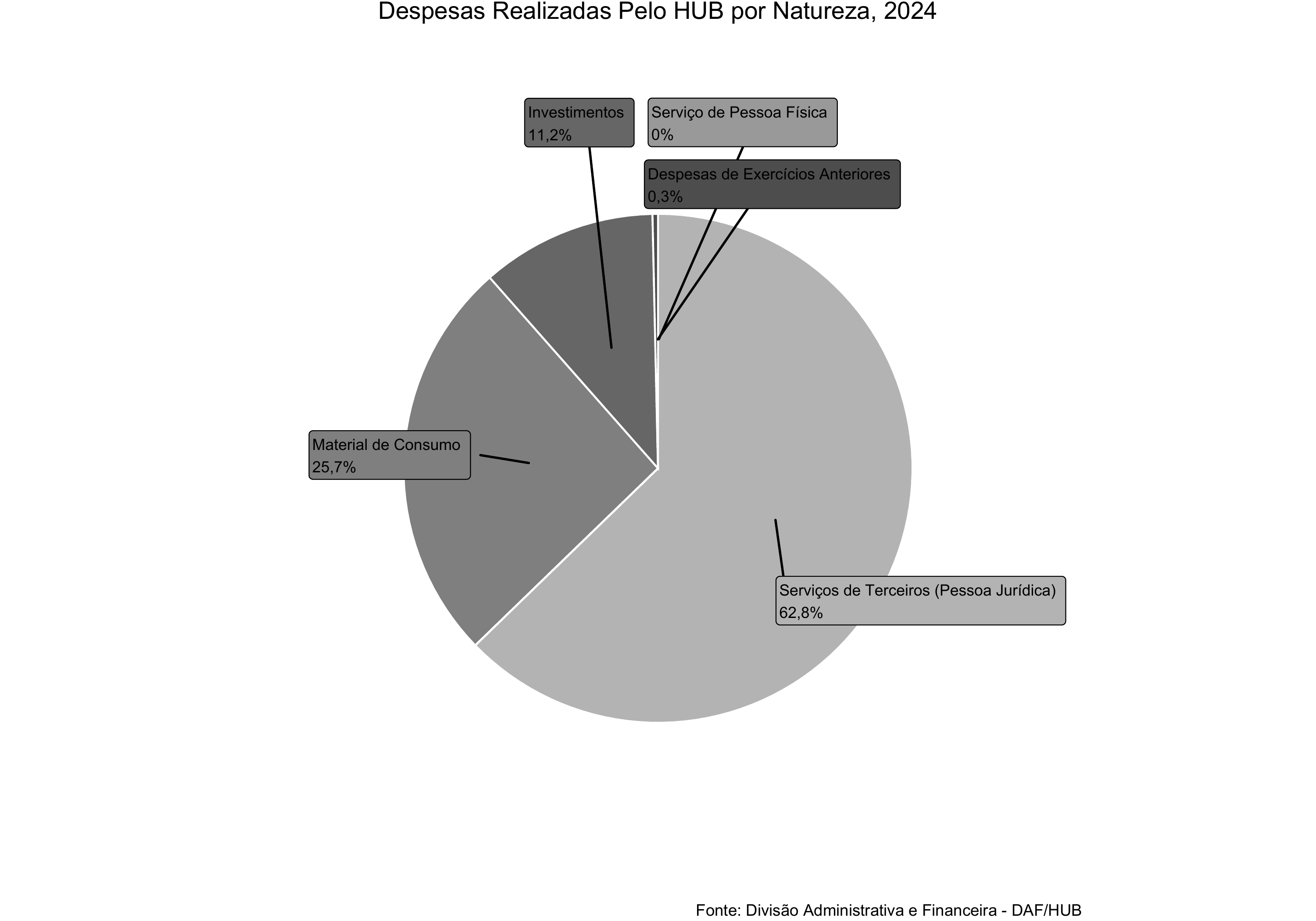Despesas realizadas pelo HUB por natureza, 2024